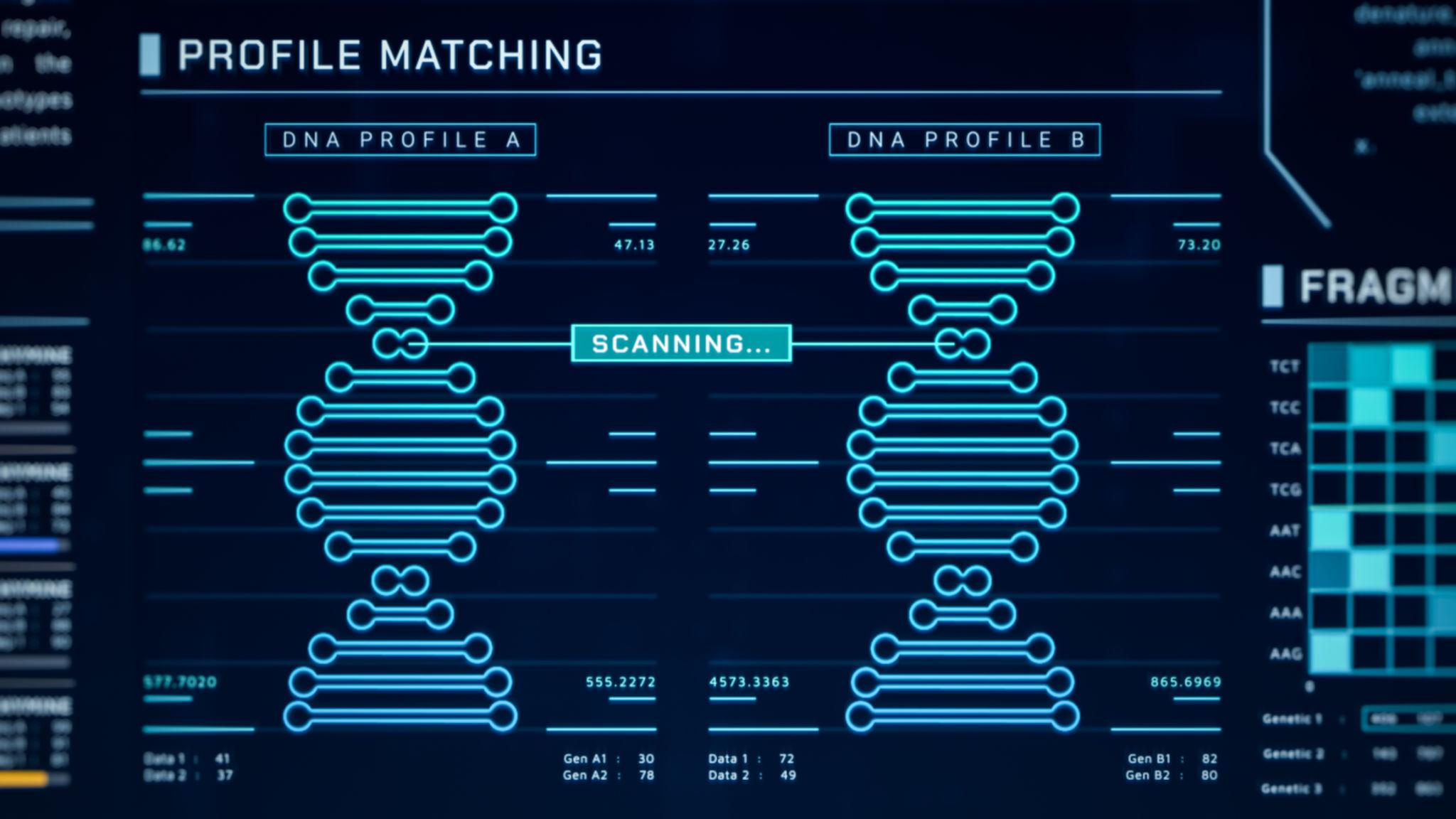 Narrative Continuity